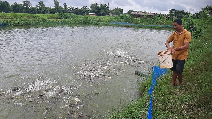 Illegal Fish Imports Cause Problems for Local Farmers in Kailali