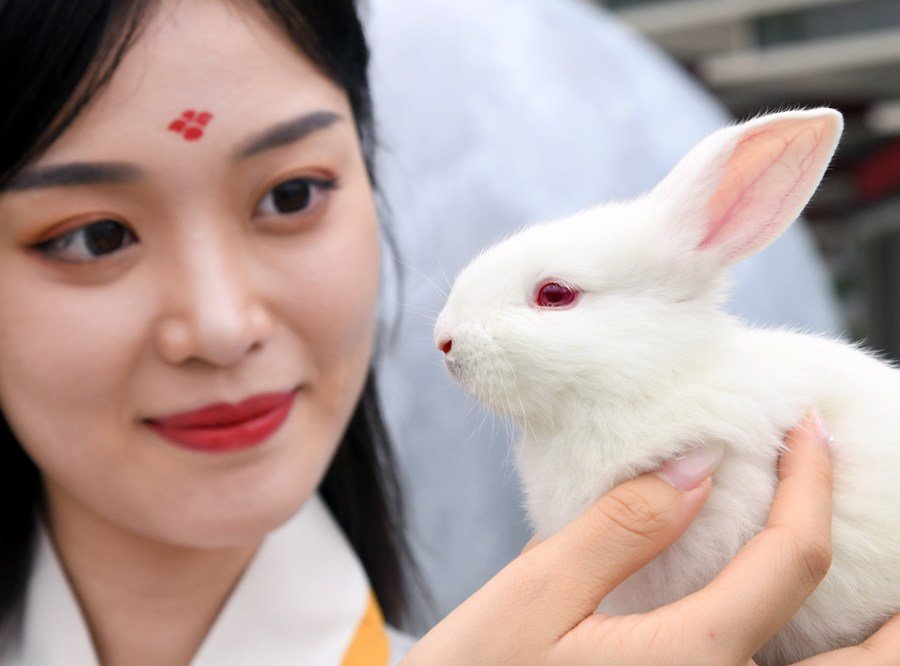 Year of the Rabbit: Three faces of the Chinese rabbit you may not know