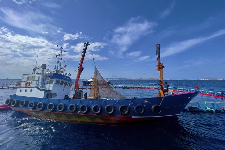 Malta hails bluefin tuna agreement with China