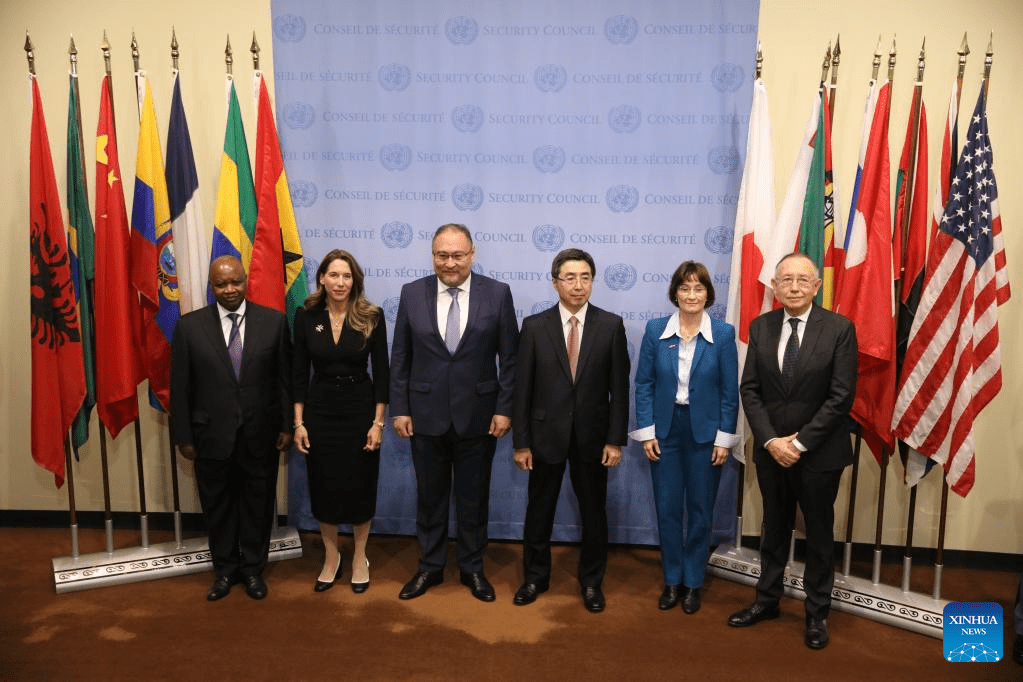 5 countries start responsibilities as newly elected members of UN Security Council