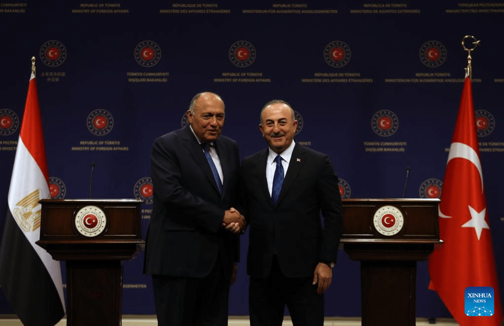 Türkiye, Egypt to work closely on issues of Syria, Libya: Turkish FM