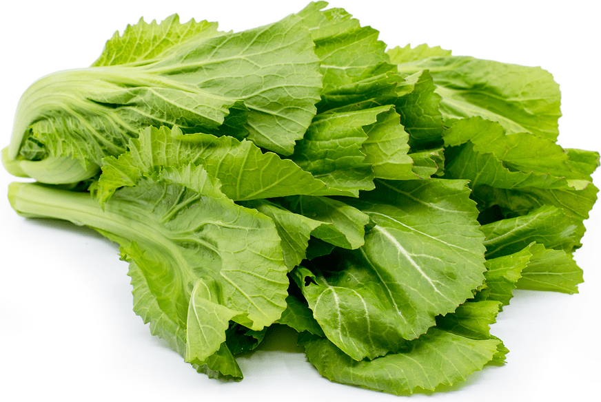 Toxic, Inedible Mustard Greens (Rayo Spinach) from Dolakha Found in Kathmandu Market