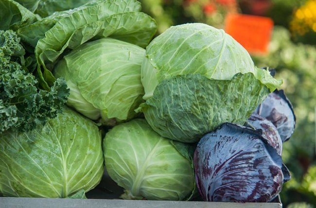 Cabbage worth Rs 170 million exported to India