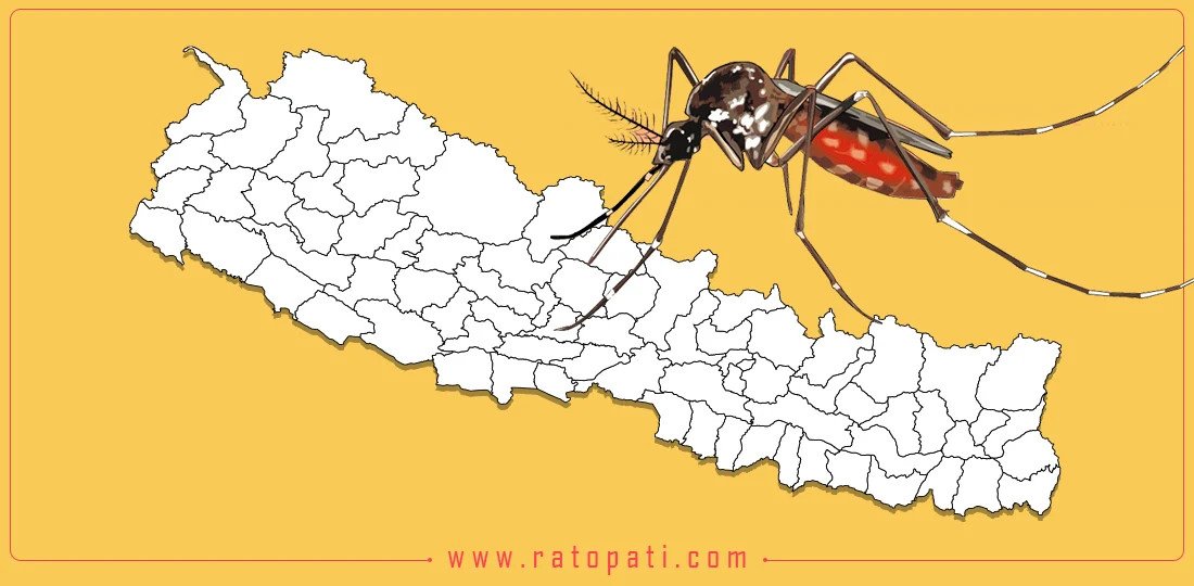 Uniting Against the Monsoon's Menace: Defeating Dengue in Nepal