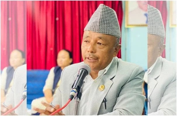 Law-making work of parliamentarians overshadowed: MP Tamang