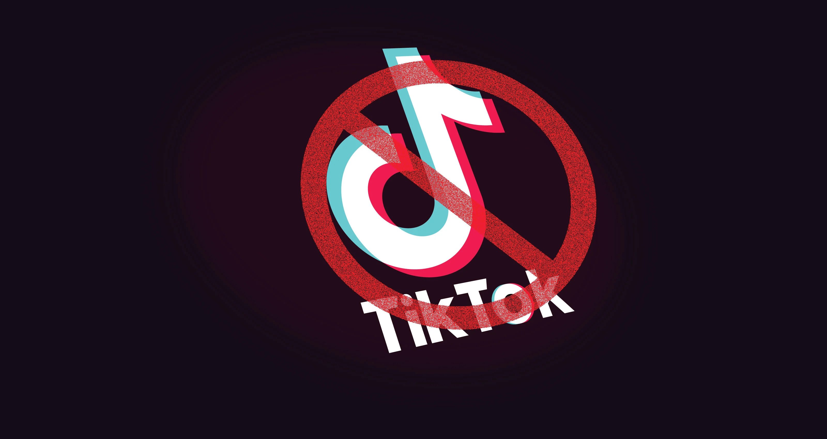 Writs against TikTok ban scheduled for hearing in bench of Justice Binod Sharma