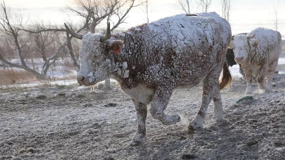 Winter storm's icy blast hits 200 million in US