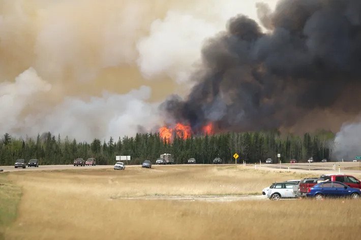 Wildfires scorch U.S. Hawaii, Canada, Spanish island, causing heavy losses