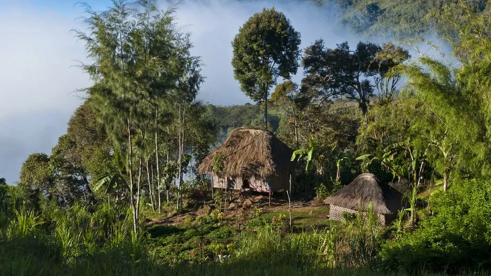 Papua New Guinea ambush: More than 60 shot dead in Highlands region