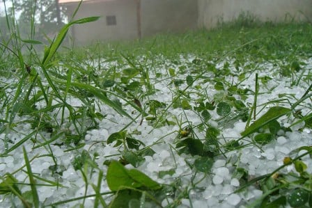 Hailstorm damages crops in Bajura