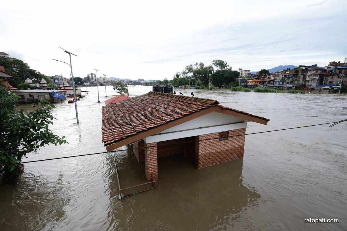 bagmati flood18