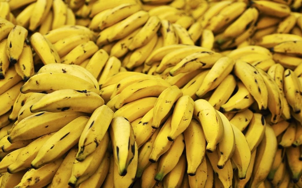 Bananas worth 1.57 billion imported