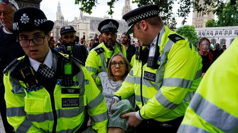 Mass Arrests at London Protest Against Ban
