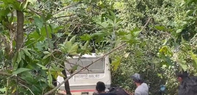 Bus heading to Dhulikhel falls off cliff in Sanga