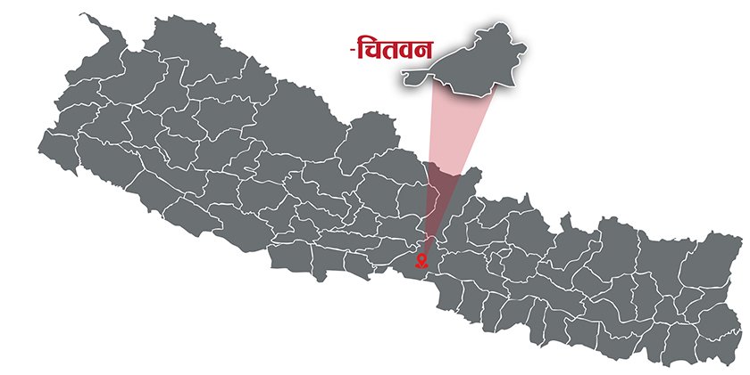 One dead, three critically injured in Chitwan road mishaps