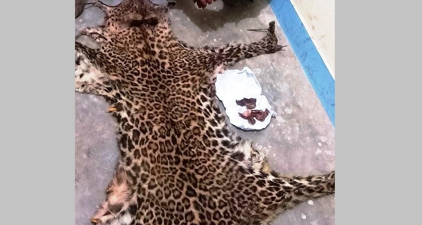 One arrested with Leopard skin