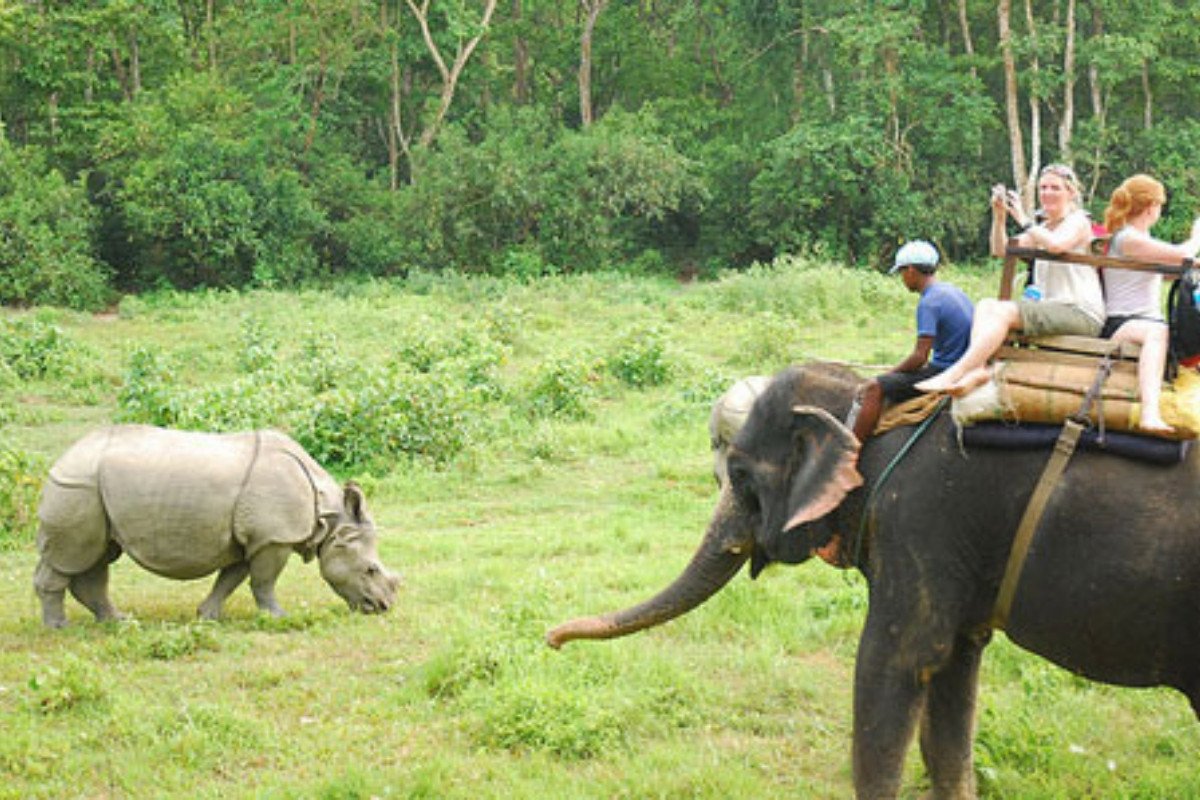 BP Peace Park sees conservation efforts