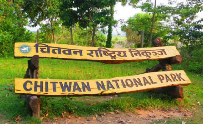 Chitwan National Park: 83 Wild Animals Died in One Year