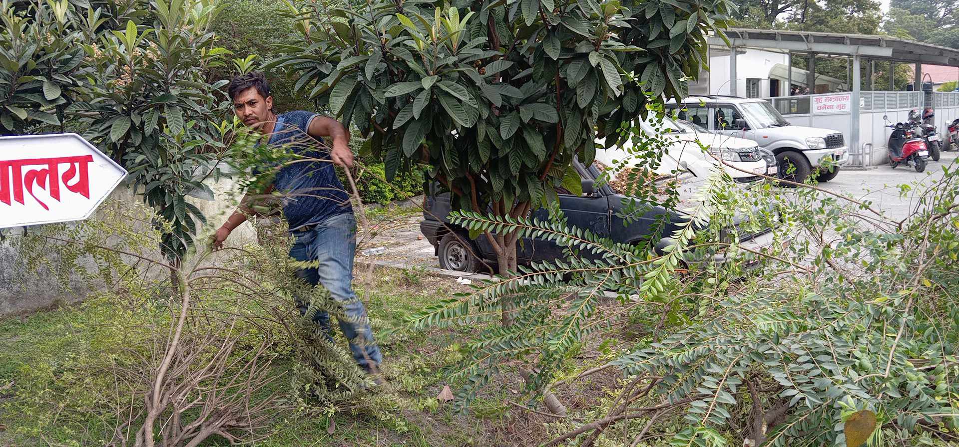 Government launches nationwide cleanliness campaign to combat dengue