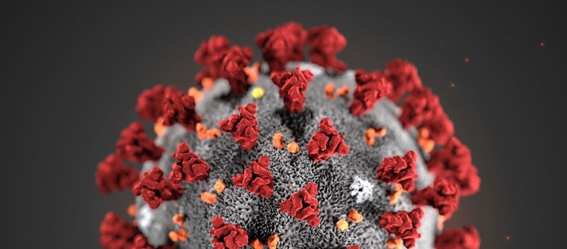 Egypt confirms first cases of new coronavirus variant EG.5