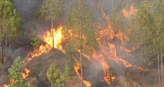 Bushfires destroy around 450 hectares of forest area in Baglung