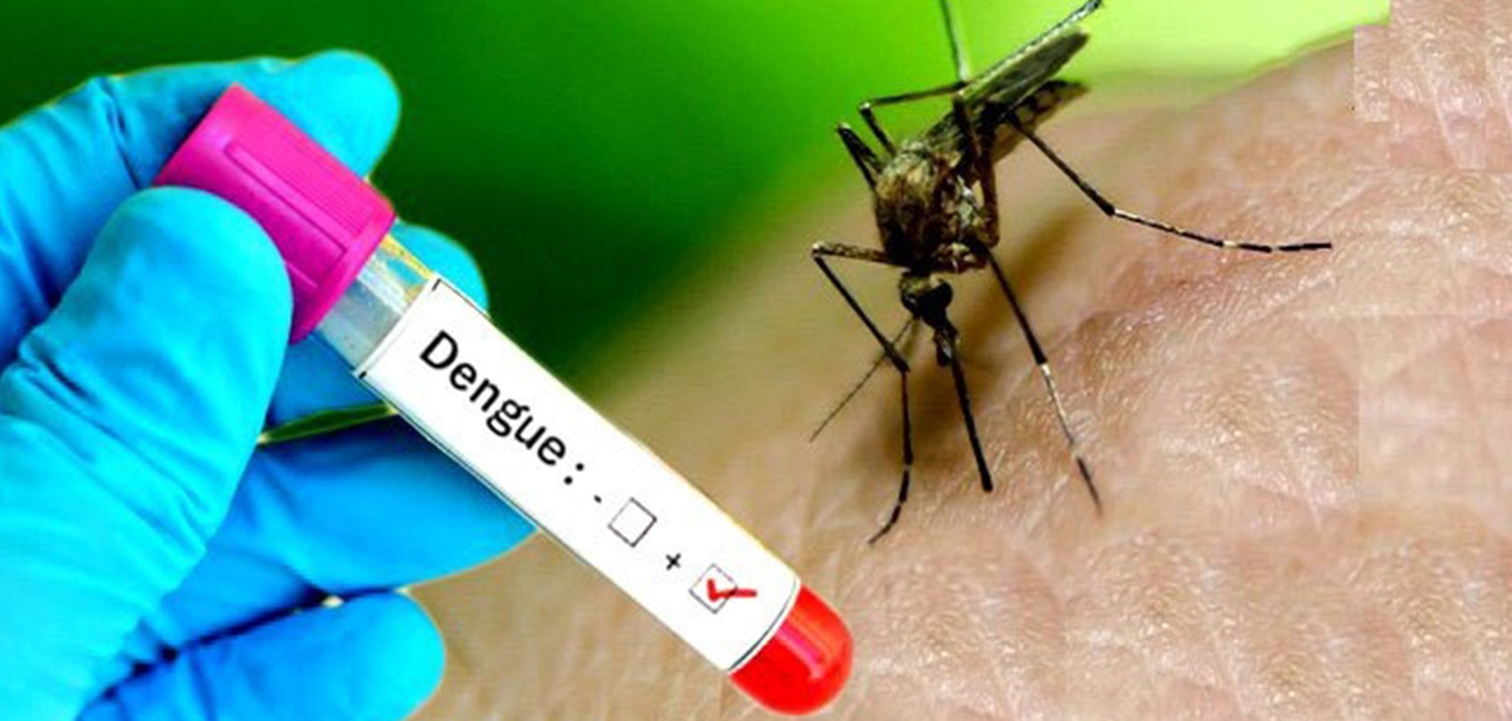 Dengue spreads to 75 districts