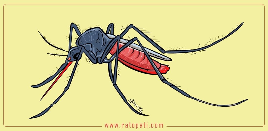 Japanese encephalitis in Banke, patient's health condition normal