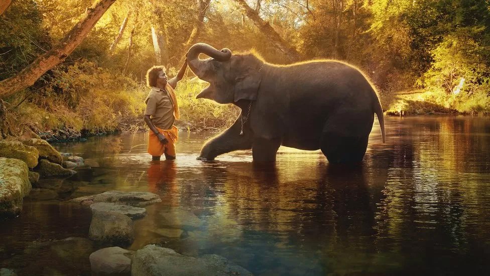 Elephant Whisperers: Indian couple in Oscar-winning elephant film sue makers