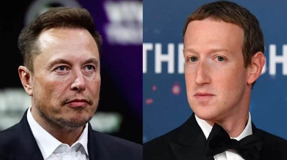 Italy could host Musk vs Zuckerberg cage fight