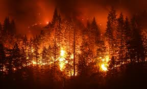 Natural disasters, fire incidents on rise