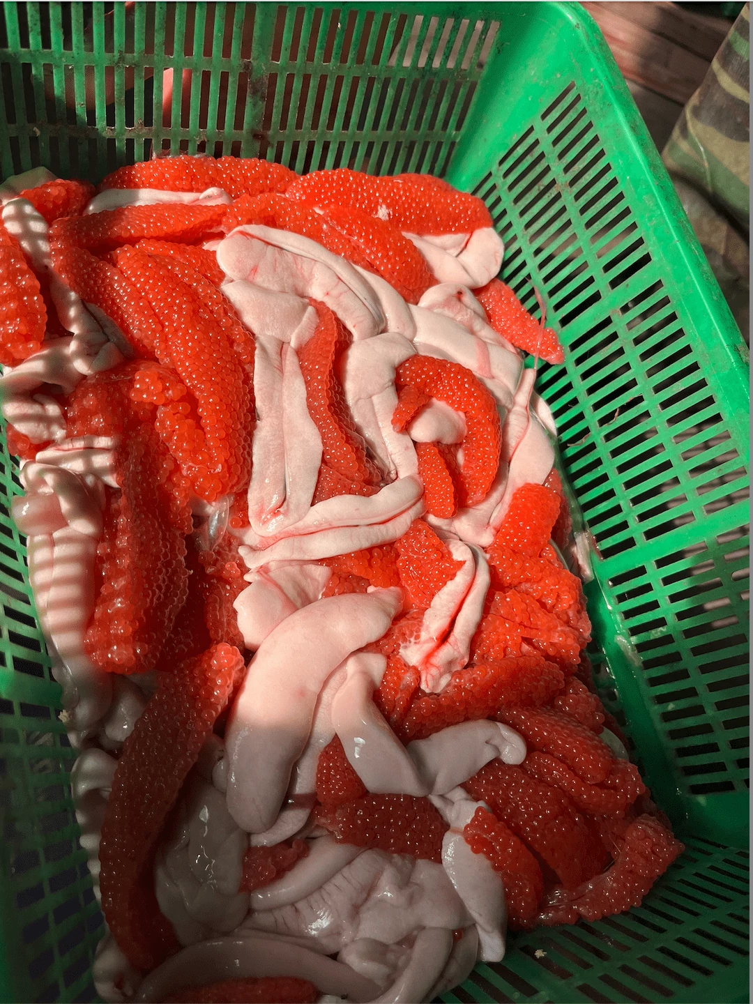 Fish Eggs