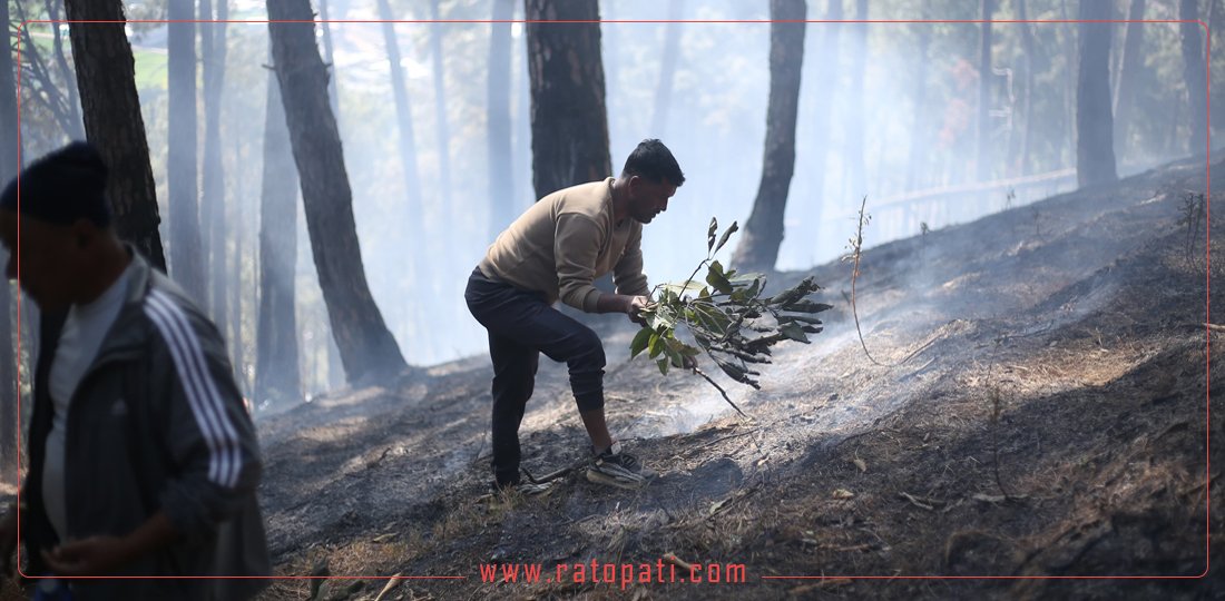 Army and locals mobilized to extinguish blaze in Godawari forest (photos)