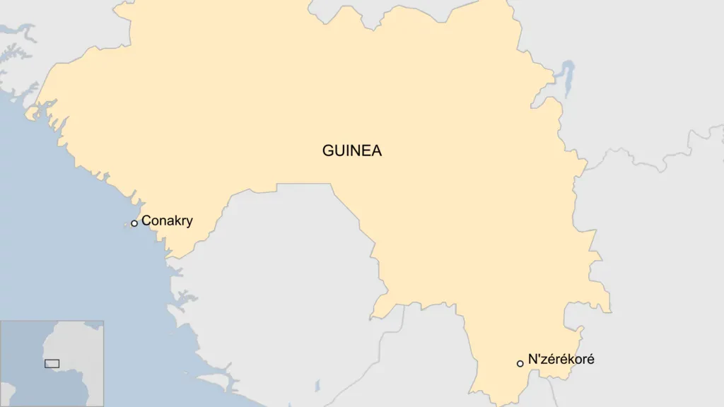 Dozens killed in crush at Guinea football match - reports