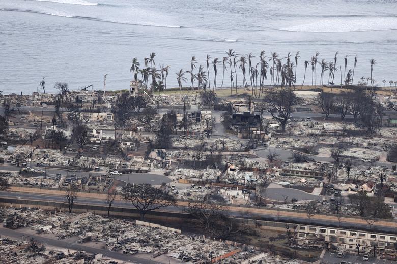 Hawaii fire: 89 killed as governor warns of 'significant' death toll rise