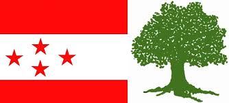 NC says no tea reception this year
