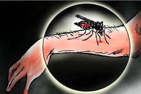 Japanese encephalitis: Five dead in Chitwan so far