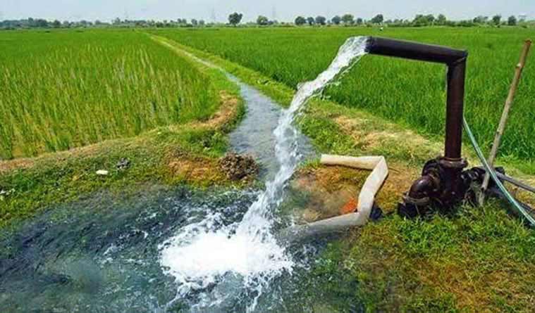 60,367 hectares of fertile land gets irrigation facility in Dang