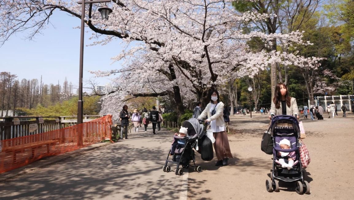 Japan’s population fell by 800,000 last year as demographic crisis accelerates