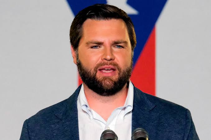 ‘Childless cat ladies’: Has JD Vance taken on 22 million US women?