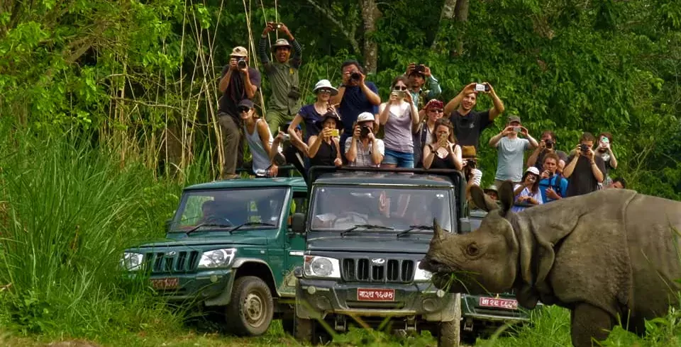 Tourist Numbers Decline Sharply in Chitwan National Park