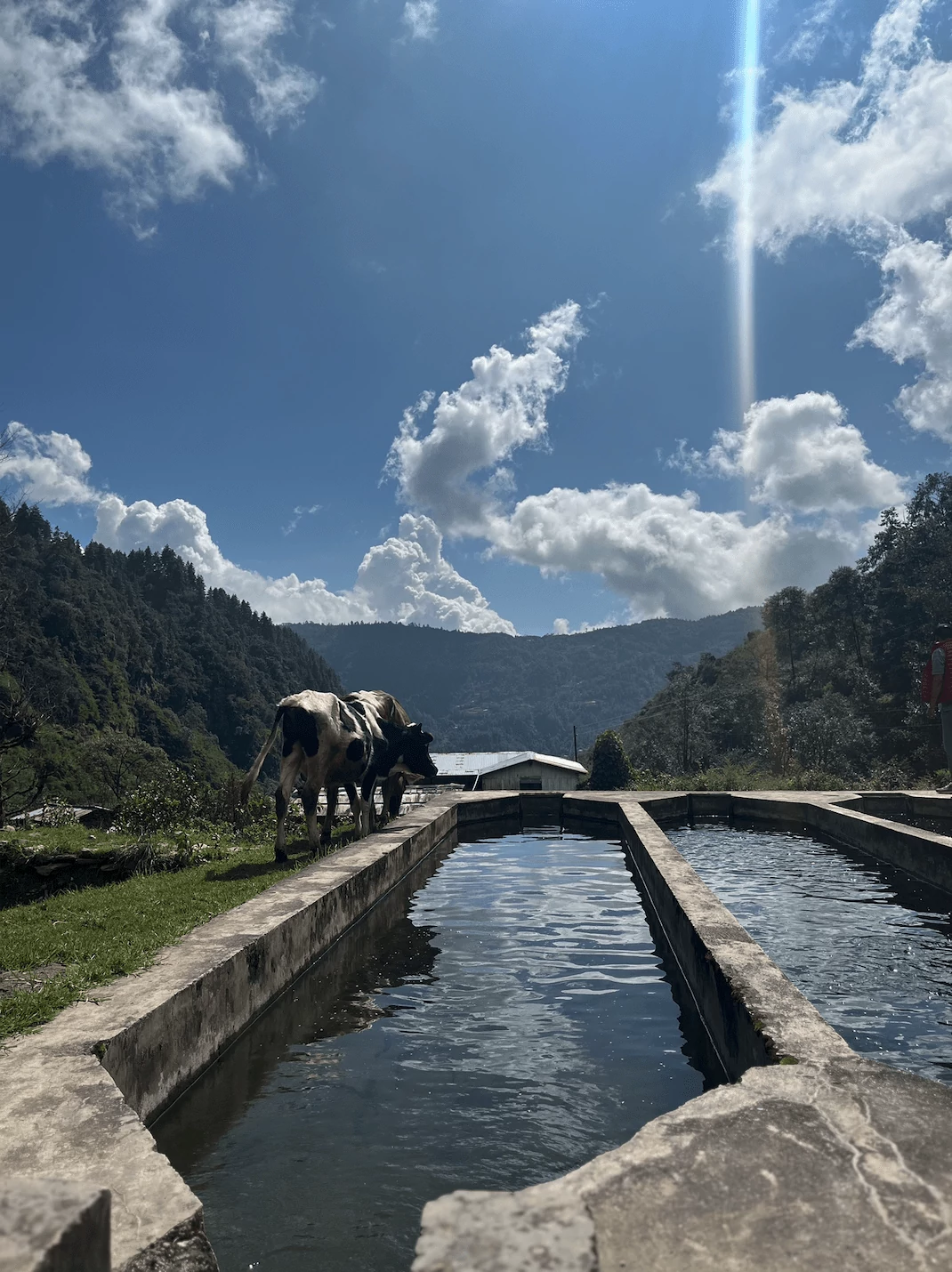 Jiri Fish Farm