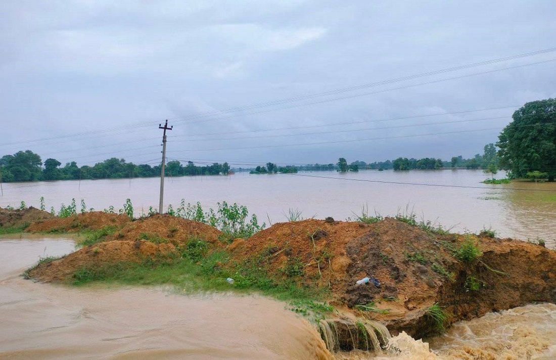 Kailali district hit by floods: Over 100 homes inundated