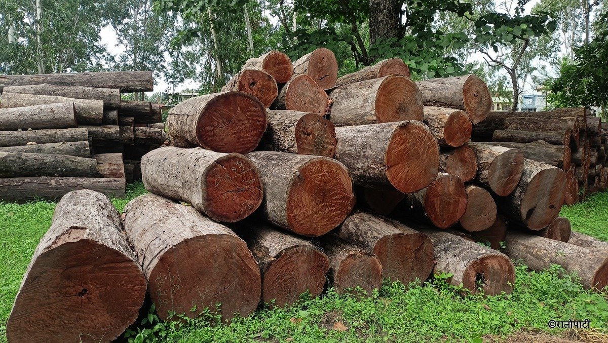 Heavy Financial Burden on Timber Consumers Due to Collection and Service Fees