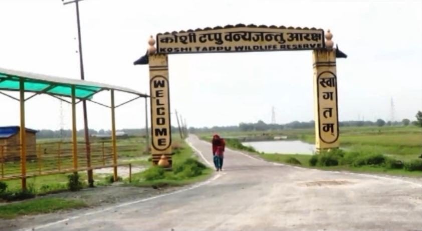 Koshi Tappu Wildlife Reserve collects Rs 4 million in revenue