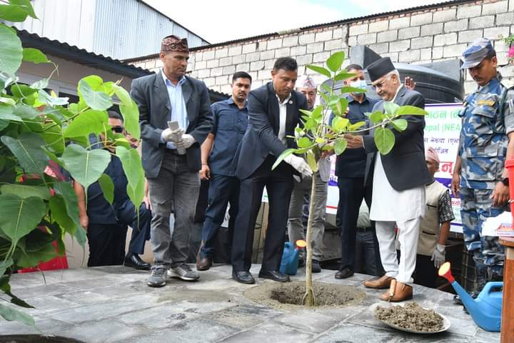 UML Chair Oli plants saplings on occasion of late Madan Bhandari's birth anniversary