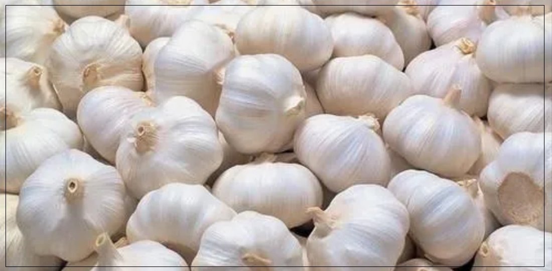 Garlic Imports Double: Concerns Over Smuggling and Trade Deficit