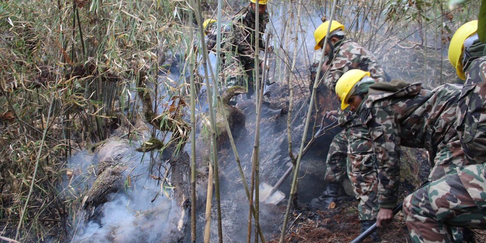 Manang wildfire not brought under control even after 10 days