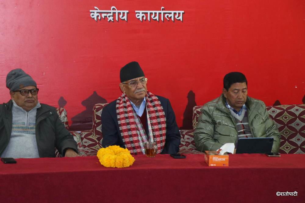 Task force formed by Maoist Center for Party Unity