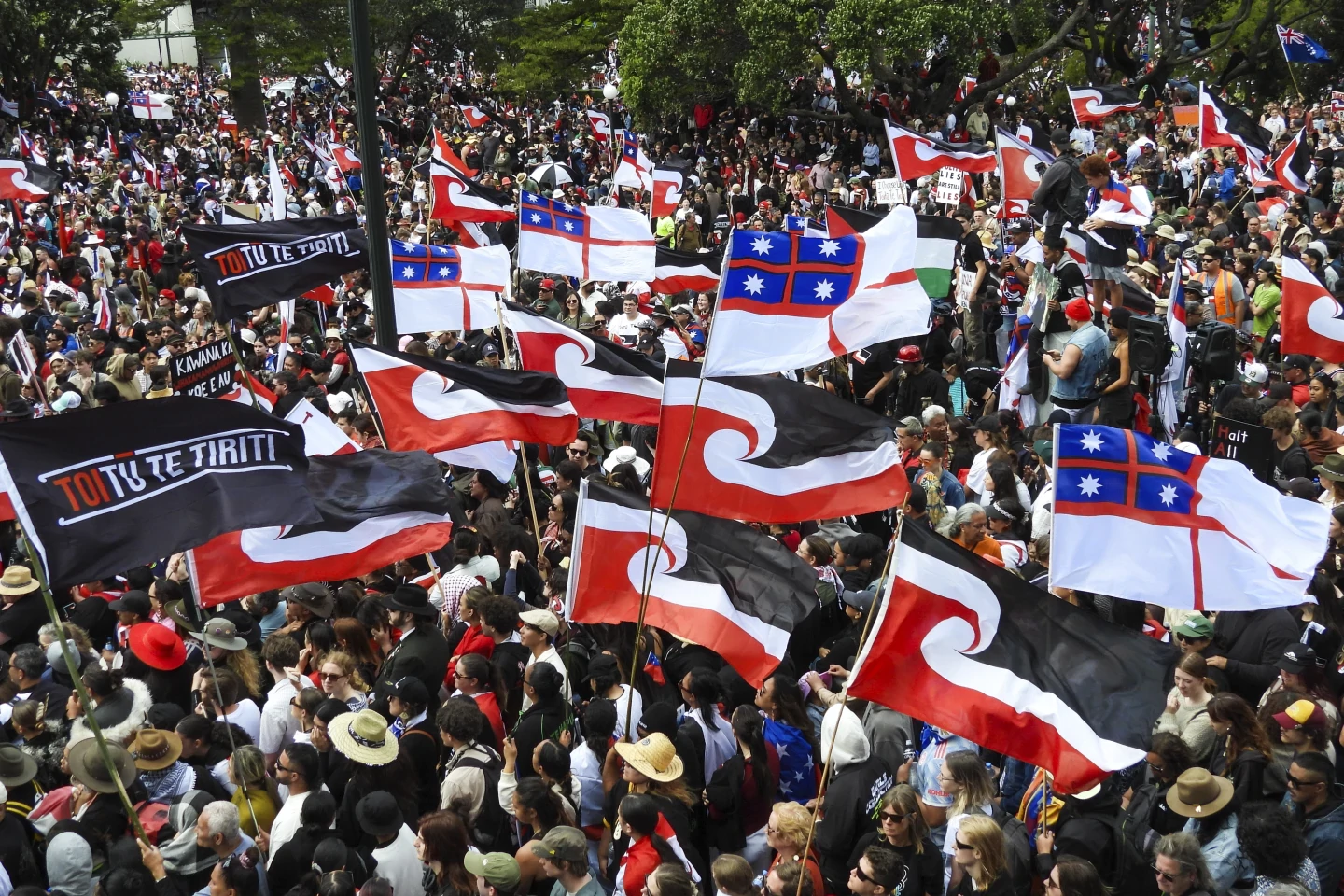 Thousands flock to NZ capital in huge Māori protests