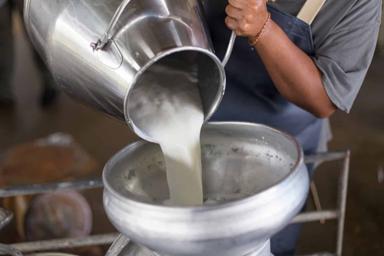 Dairy farmers of Gorkha to get subsidy in cash